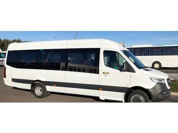 Bus mini Mercedes-Benz Sprinter 519 CDI