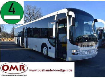 Bus pinggiran kota MAN - R 13 Lion`s Regio: gambar 1