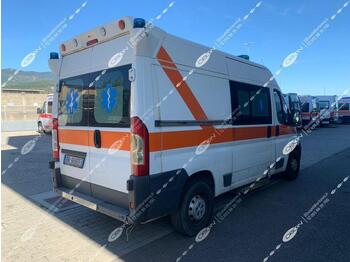 ORION srl FIAT DUCATO 250 (ID 3018) - Ambulans