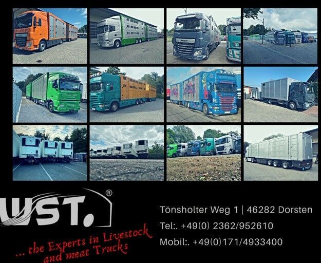 Semi-trailer berpendingin Schmitz Cargobull Tiefkühl   Vector 1550 Stom/Diesel: gambar 27