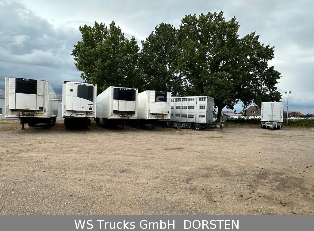 Semi-trailer berpendingin Schmitz Cargobull Tiefkühl   Vector 1550 Stom/Diesel: gambar 26