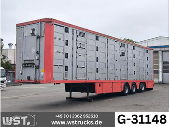 Menke-Janzen Menke 4 Stock Lenk Lift Typ2 Lüfter Dusche Tränk  - Semi-trailer pengangkut hewan