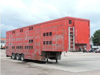 PEZZAIOLI SBA 36 S1 - Semi-trailer pengangkut hewan