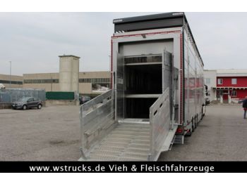Pezzaioli 2 x SBA31-SR  3 Stock "Neu" Sofort  - Semi-trailer pengangkut hewan