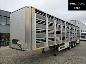 Pezzaioli CIMC / SR03 / 4 Stock / Typ 2 / Ferkeltransporte  - Semi-trailer pengangkut hewan