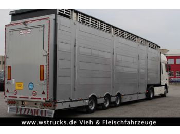 Pezzaioli SBA31-SR  3 Stock "Neu" Vermietung  - Semi-trailer pengangkut hewan