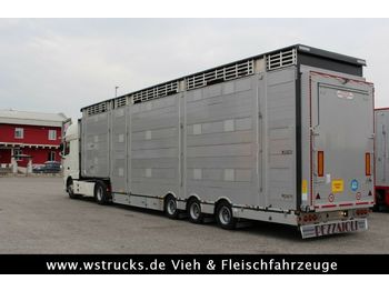 Pezzaioli SBA31-SR  3 Stock  Vermietung  - Semi-trailer pengangkut hewan