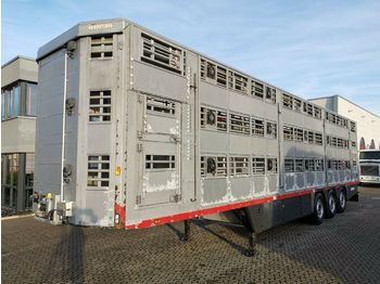 Pezzaioli SBA63U / 3 Stock / Hubdach / BPW  - Semi-trailer pengangkut hewan