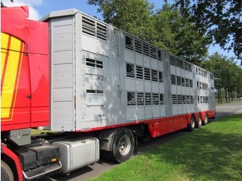 Pezzaioli SBA 62 U - Semi-trailer pengangkut hewan