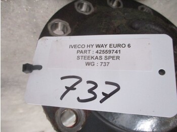 Bingkai/ Sasis untuk Truk Iveco 42559741 STEEK MET SPER HI WAY EURO 6: gambar 2