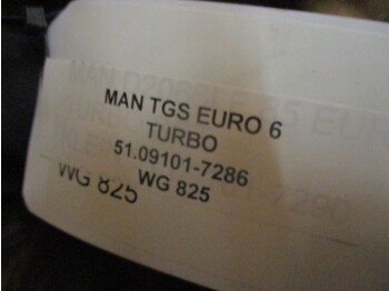 Turbo untuk Truk MAN TGS 81.09101-7286 TURBO EURO 6: gambar 2