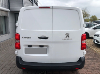Van panel Peugeot Expert Premium Premium Van: gambar 5