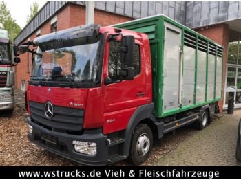 Mercedes-Benz 824L WST Edition"  Einstock Vollalu  - Van box