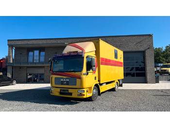 Truk pengangkut kuda MAN TGL 10.180
