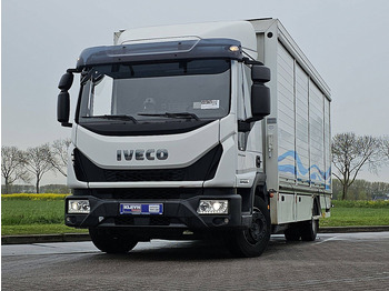 Truk box IVECO EuroCargo