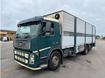 Truk pengangkut kuda VOLVO FM9