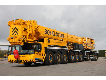 Bus IVECO