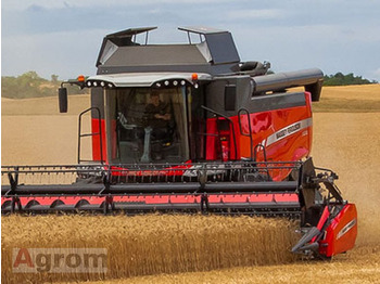 Pemanen gabungan MASSEY FERGUSON