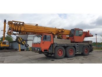 Derek bergerak LIEBHERR LTM 1050/1