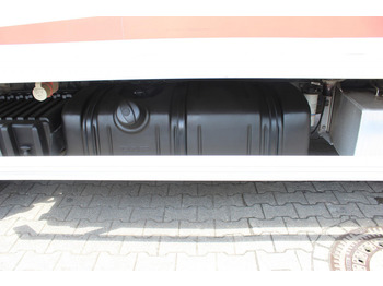 Truk berpendingin Daf LF 260 E6  Carrier Supra 550   Strom  Tür   LBW: gambar 4