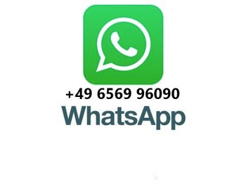 Truk sasis Mercedes-Benz Actros 3341 6x6 Hydraulikpumpe + Tank: gambar 2 Truk sasis Mercedes-Benz Actros 3341 6x6 Hydraulikpumpe + Tank: gambar 2