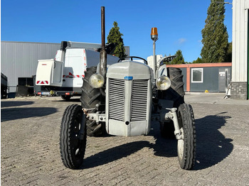 Traktor Diversen FERGUSON tractor: gambar 5