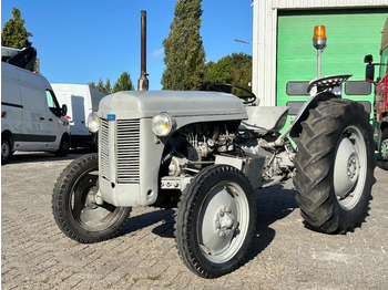 Traktor Diversen FERGUSON tractor: gambar 3