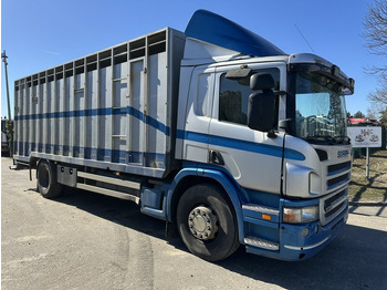 Truk pengangkut hewan SCANIA P 310