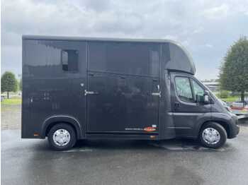 Truk pengangkut kuda FIAT