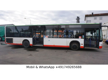Bus kota Mercedes-Benz Citaro *EEV/33+1/65-Stehplätze/Dachklima: gambar 2