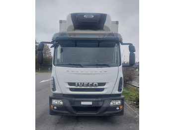 Leasing Iveco 140 E25 Eurocargo, E5, Carrier Supra 850  Iveco 140 E25 Eurocargo, E5, Carrier Supra 850: gambar 2