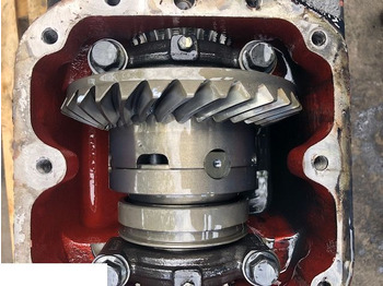 Penularan CASE