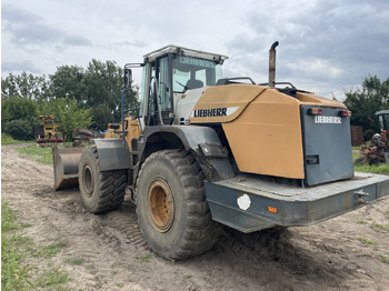 Gearbox untuk Peralatan pertanian Liebherr L544 - na części - most kabina skrzynia biegów silnik: gambar 4