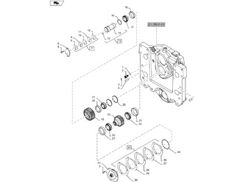 Penularan NEW HOLLAND