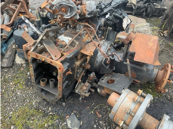 Penularan NEW HOLLAND