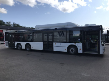 Bus kota MAN Lion's City A26