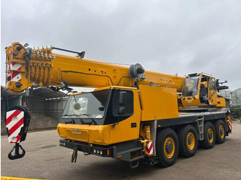 Derek semua medan GROVE