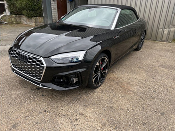Mobil Audi S5 Cabriolet 260 KW: gambar 1