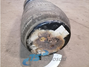 Suspensi udara untuk Truk Scania Air suspension 1362147: gambar 3 Suspensi udara untuk Truk Scania Air suspension 1362147: gambar 3