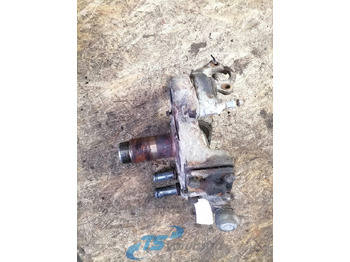 Poros dan bagian untuk Truk Scania Steering knuckle 12345: gambar 2