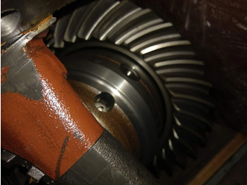 Gigi diferensial untuk Derek Terex AC 25 axle 2 differential small 18x33: gambar 2