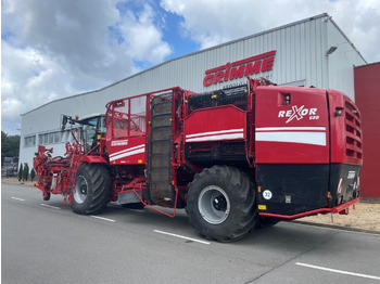 Mesin pemanen Grimme REXOR 620 Rüttelschar Multiwelle: gambar 3