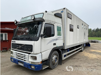 Truk pengangkut kuda VOLVO FM7