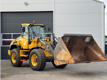 Wheel loader Volvo L 45 H: gambar 3