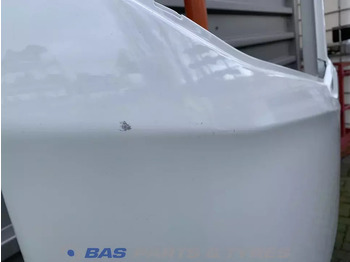 Pintu dan bagian untuk Truk DAF XF G2 Portier Rechts DAF 2197012: gambar 3