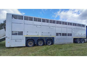 Semi-trailer pengangkut hewan GRAY & ADAMS