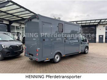 Truk pengangkut kuda Fiat Ducato *NEUWAGEN* ca.1100 kg Nutzlast: gambar 2