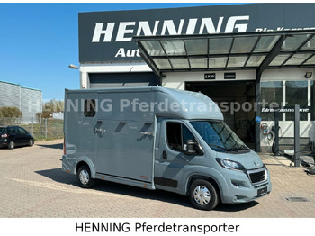 Truk pengangkut kuda PEUGEOT