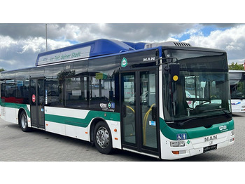 Bus kota MAN Lion's City A21