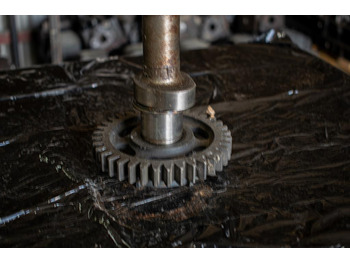 Camshaft untuk Truk MAN TGA WITH ENGINE CODE D 2066: gambar 2 Camshaft untuk Truk MAN TGA WITH ENGINE CODE D 2066: gambar 2